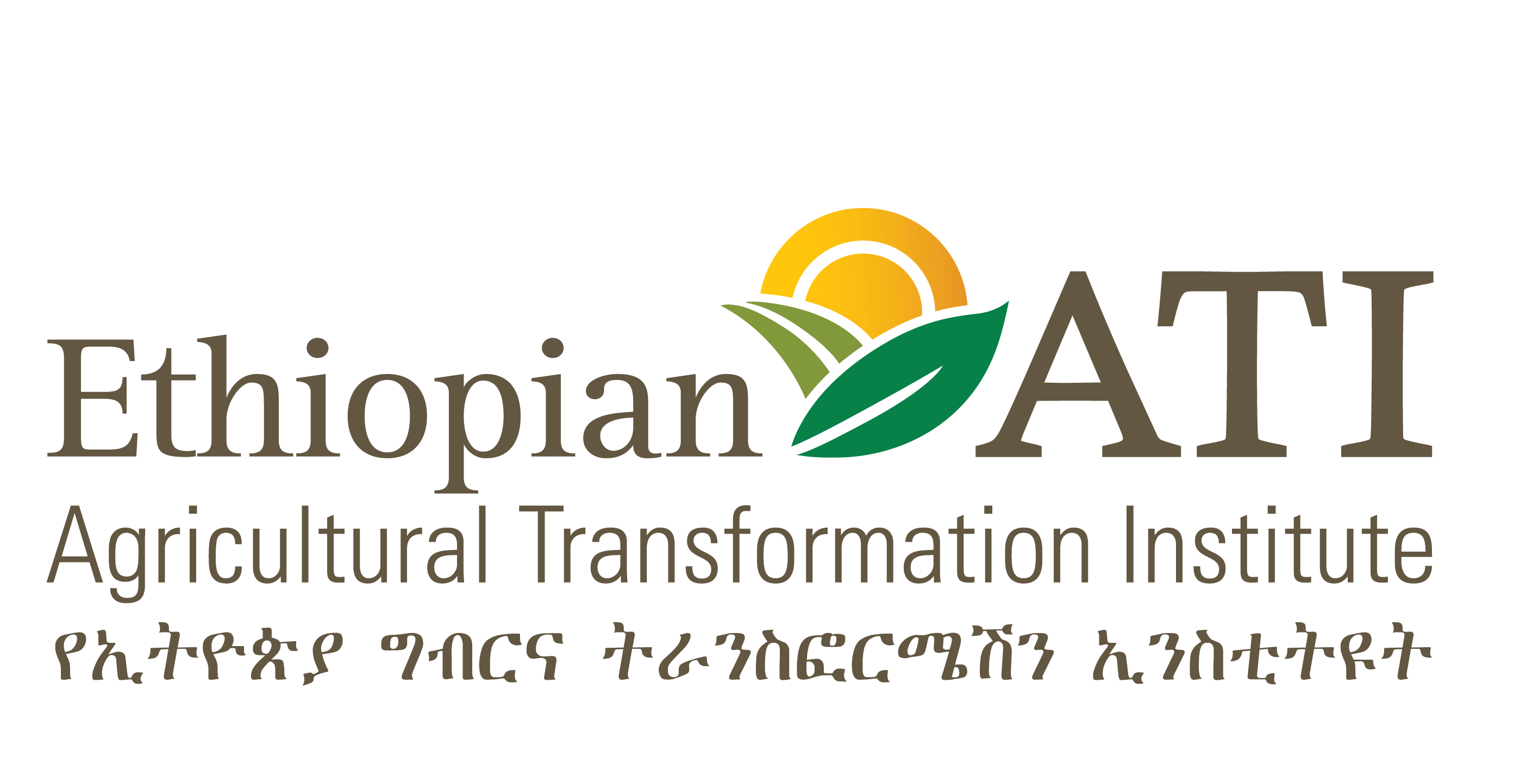 Ethiopian Agricultural Transformation in the South Center.